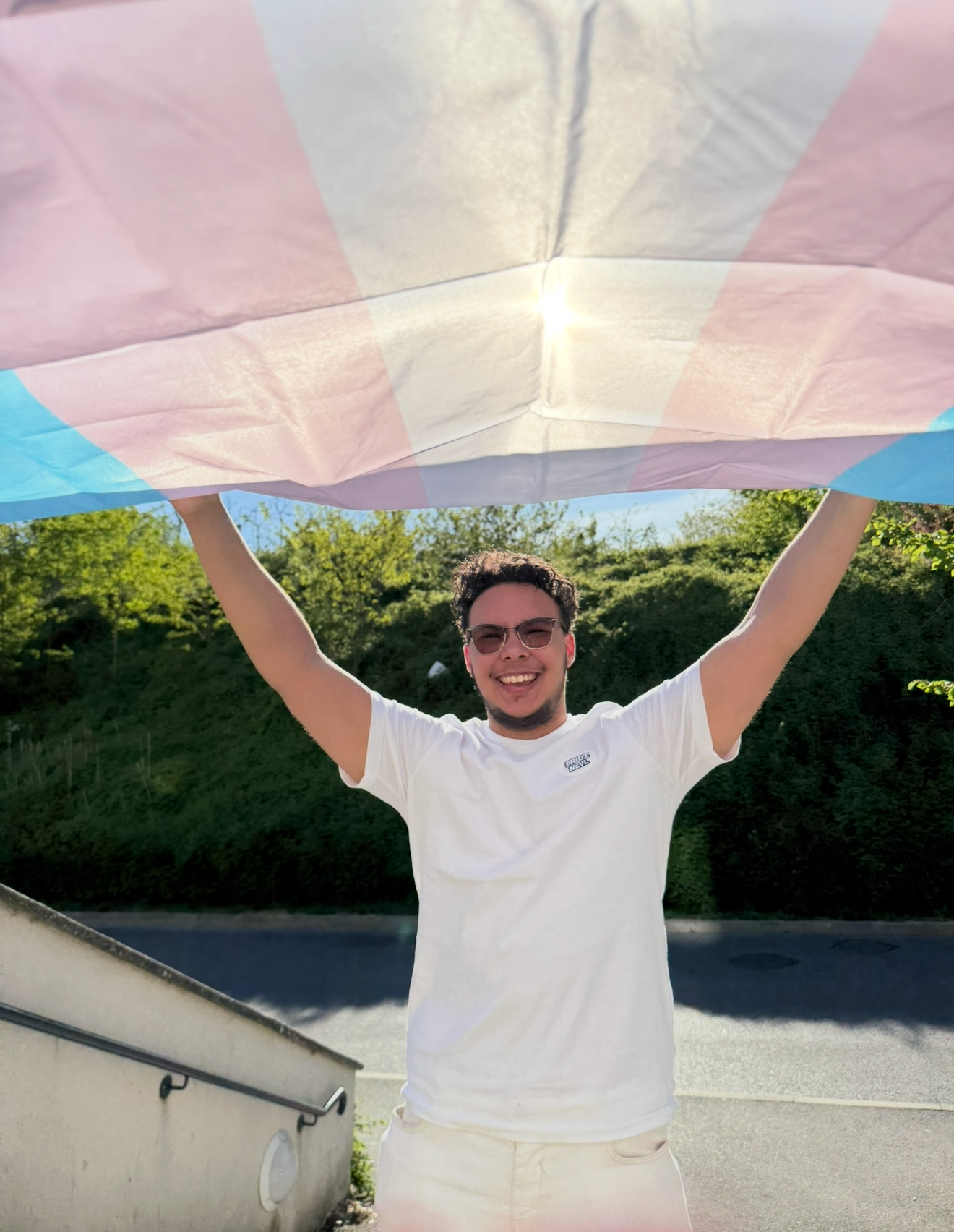 DRAPEAU TRANSGENRE