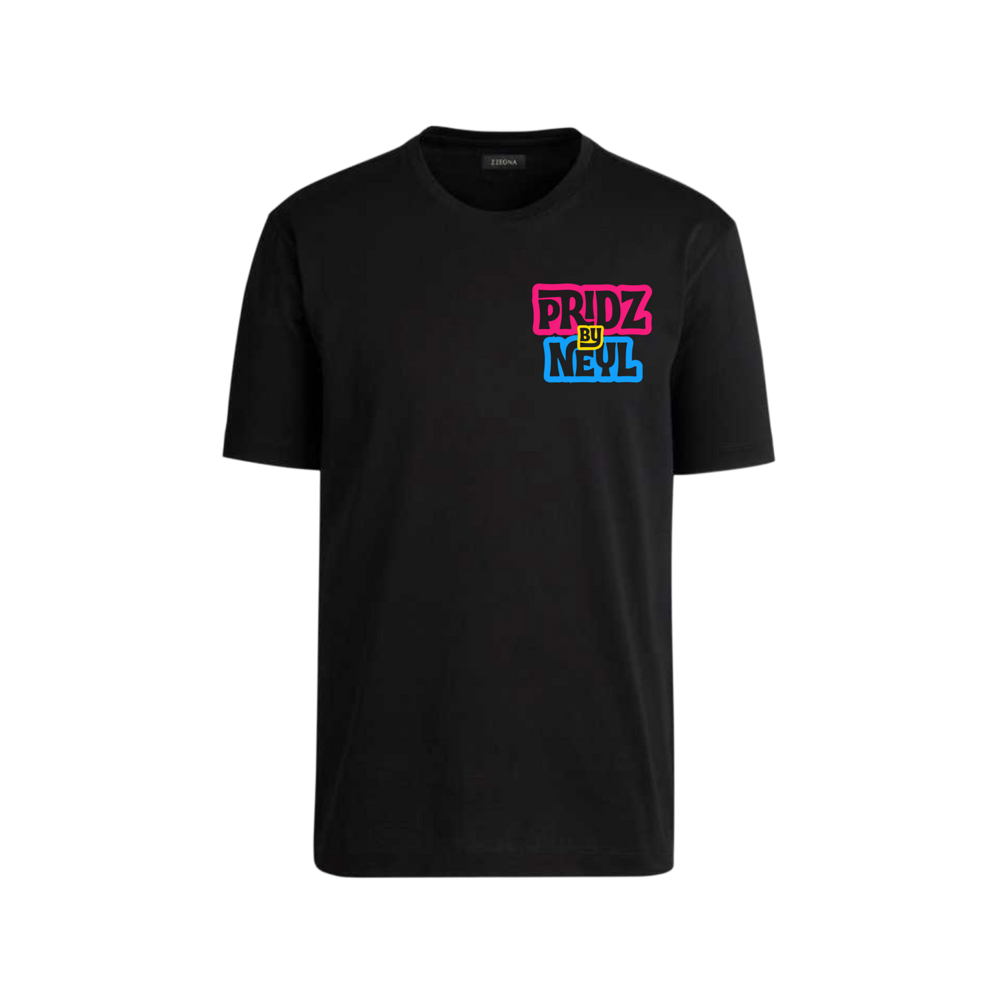 T-SHIRT DE LA FIERTÉ PAN